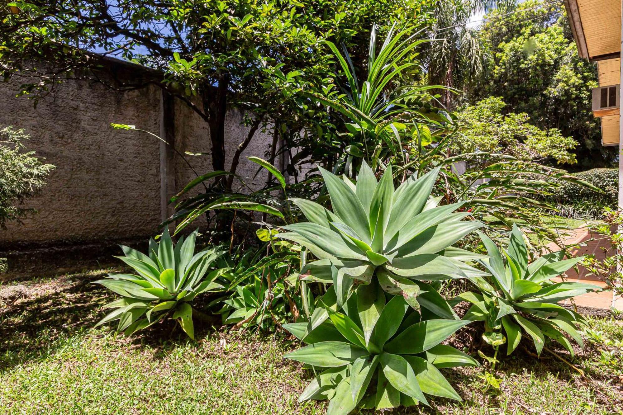 Memora Guesthouse Curitiba - Quartos Em Casa Proximo Ao Parque Bacacheri Exterior photo